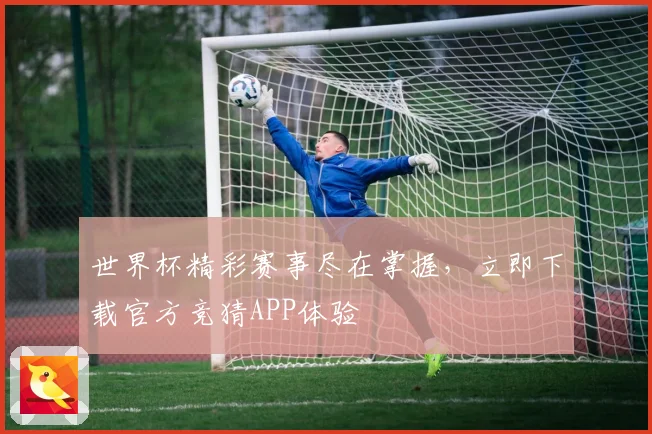 世界杯精彩赛事尽在掌握，立即下载官方竞猜APP体验